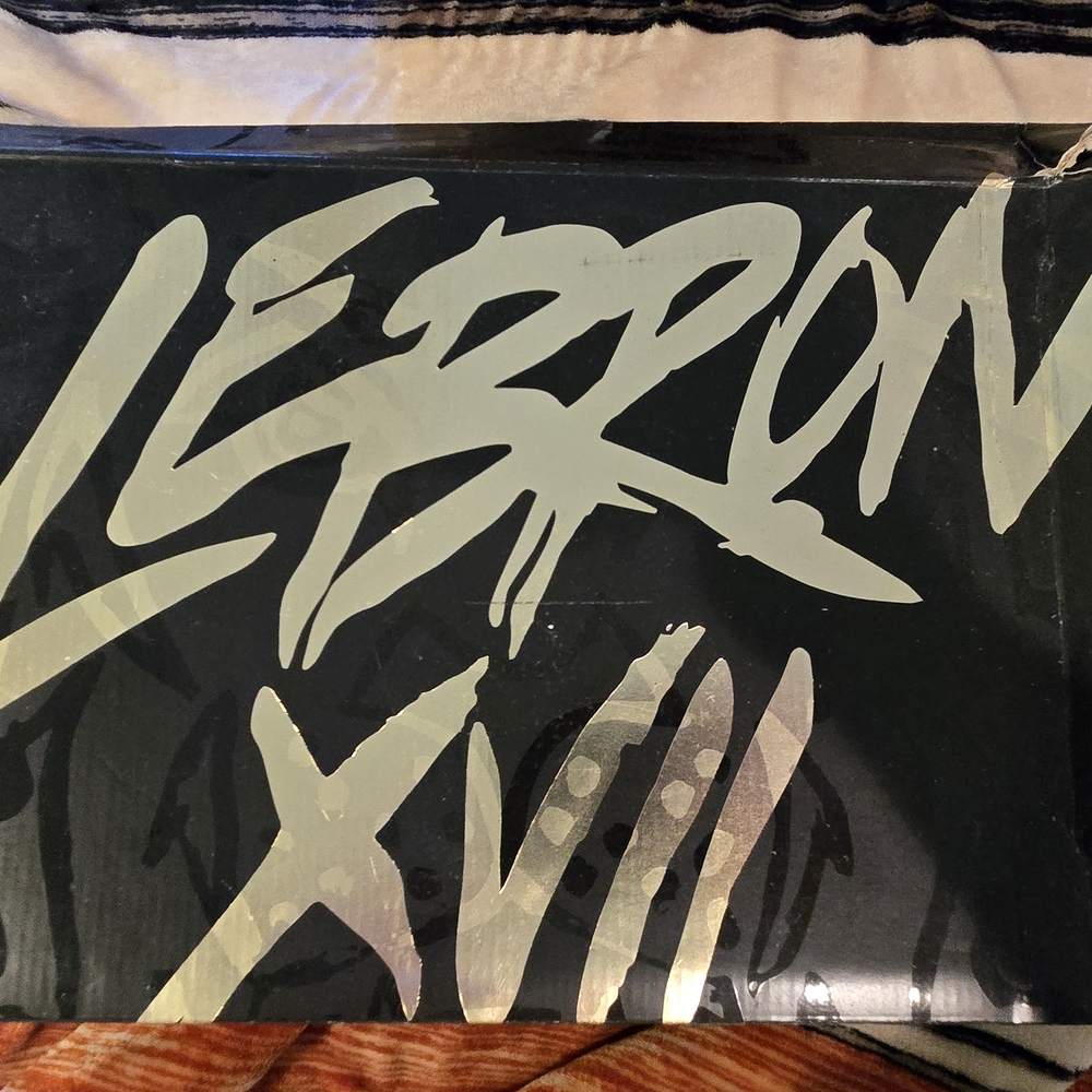 LeBron XVII Graphic Box